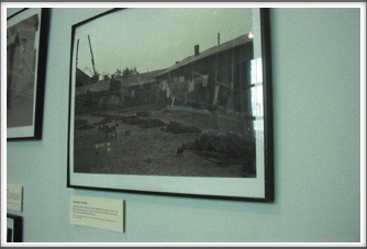 D-Day Museum: Prison Camp Conditions