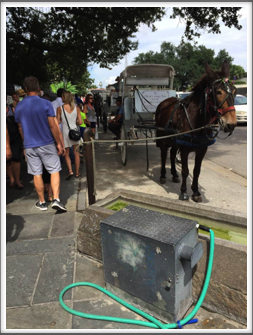 Mule watering trough for carriage rides through the French Quarter
